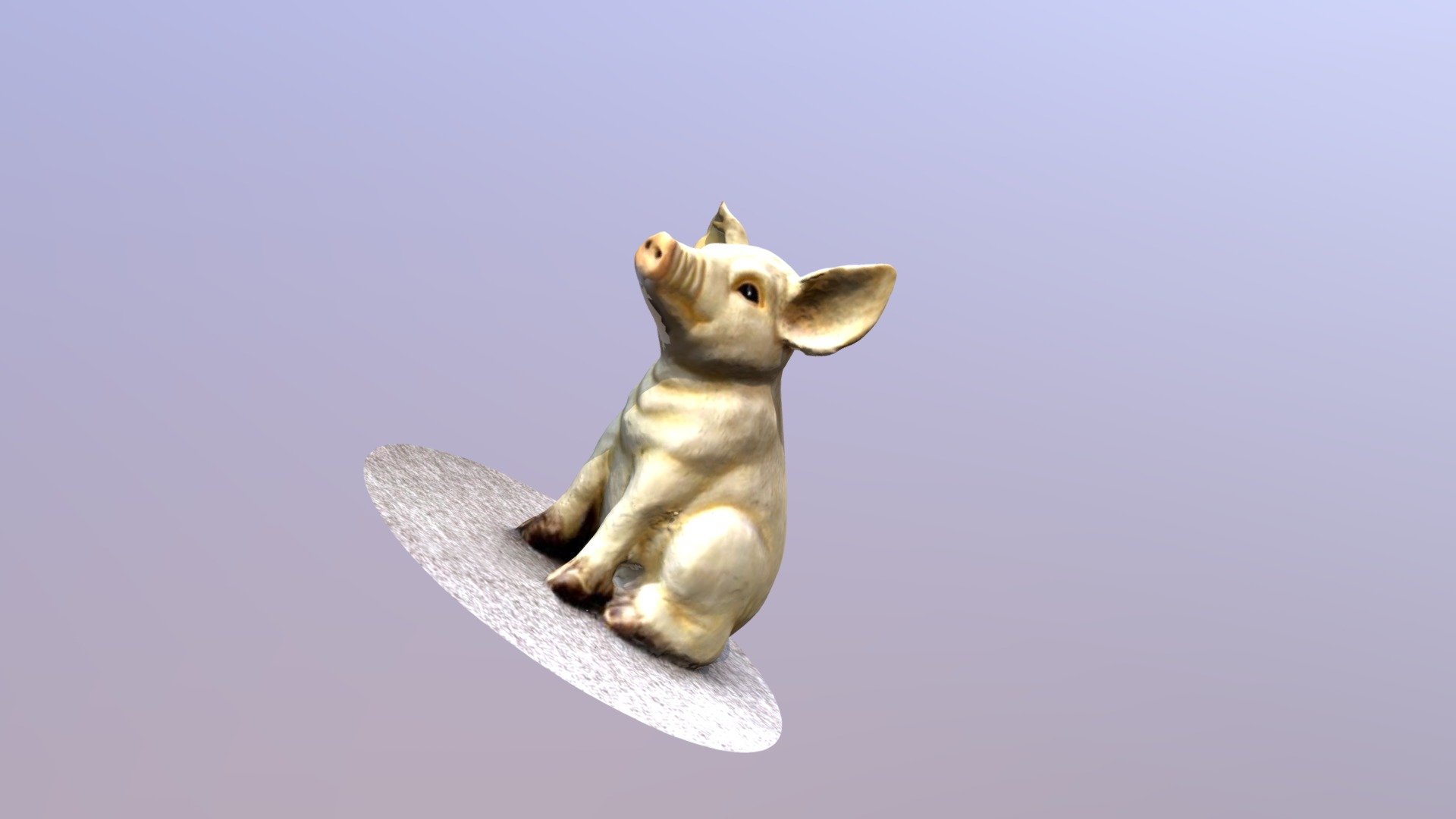 pig