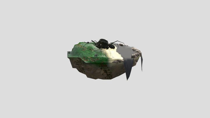 Final Project Spider 3D Model