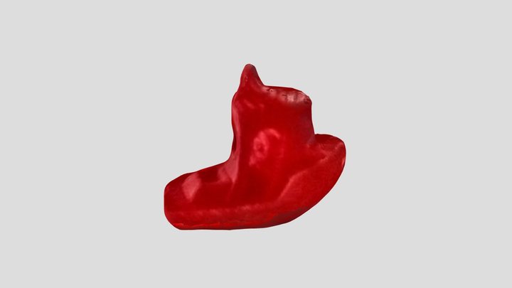 New Qlone 3D Model