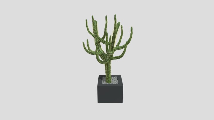 Kaktoos Tree – Free 3D Model STL