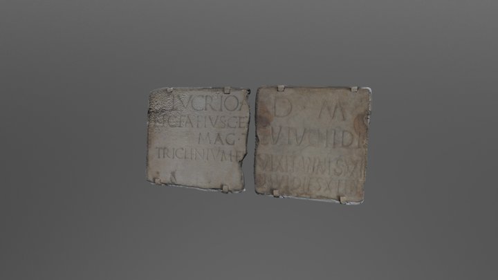 Number 8 3D Model