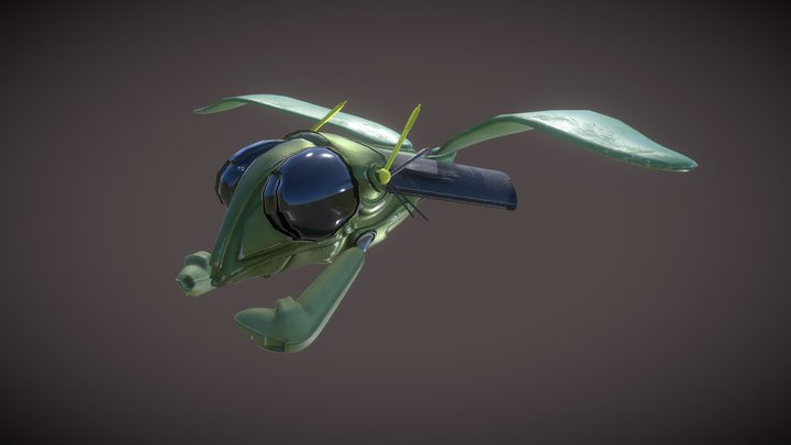 Moorkata's Ship 3D Model