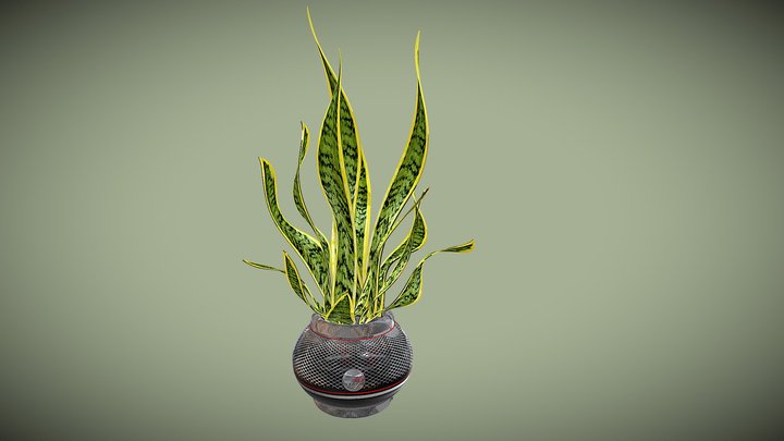 Snake Plant – Modello 3D gratuito STL