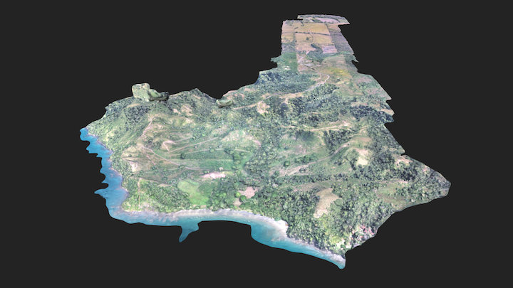 completo_hd_simplified_3d_mesh(1) 3D Model