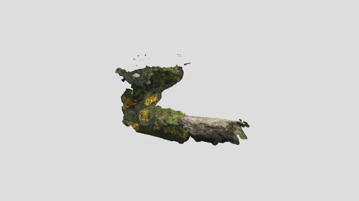 la Girafe 3D de camille 3D Model