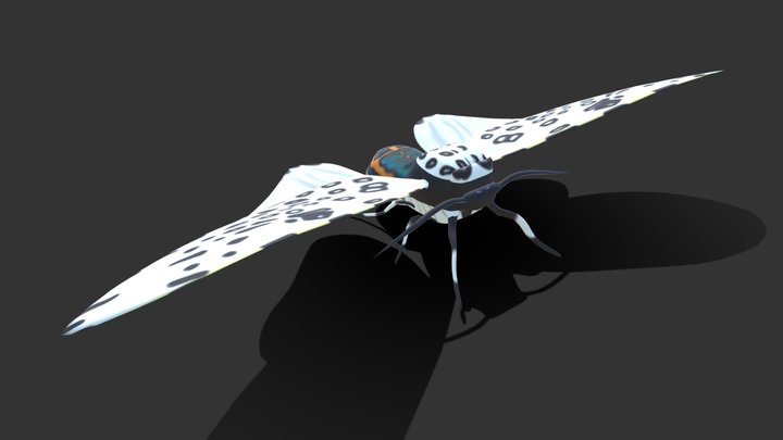 Giant Leopard Moth 3D Model