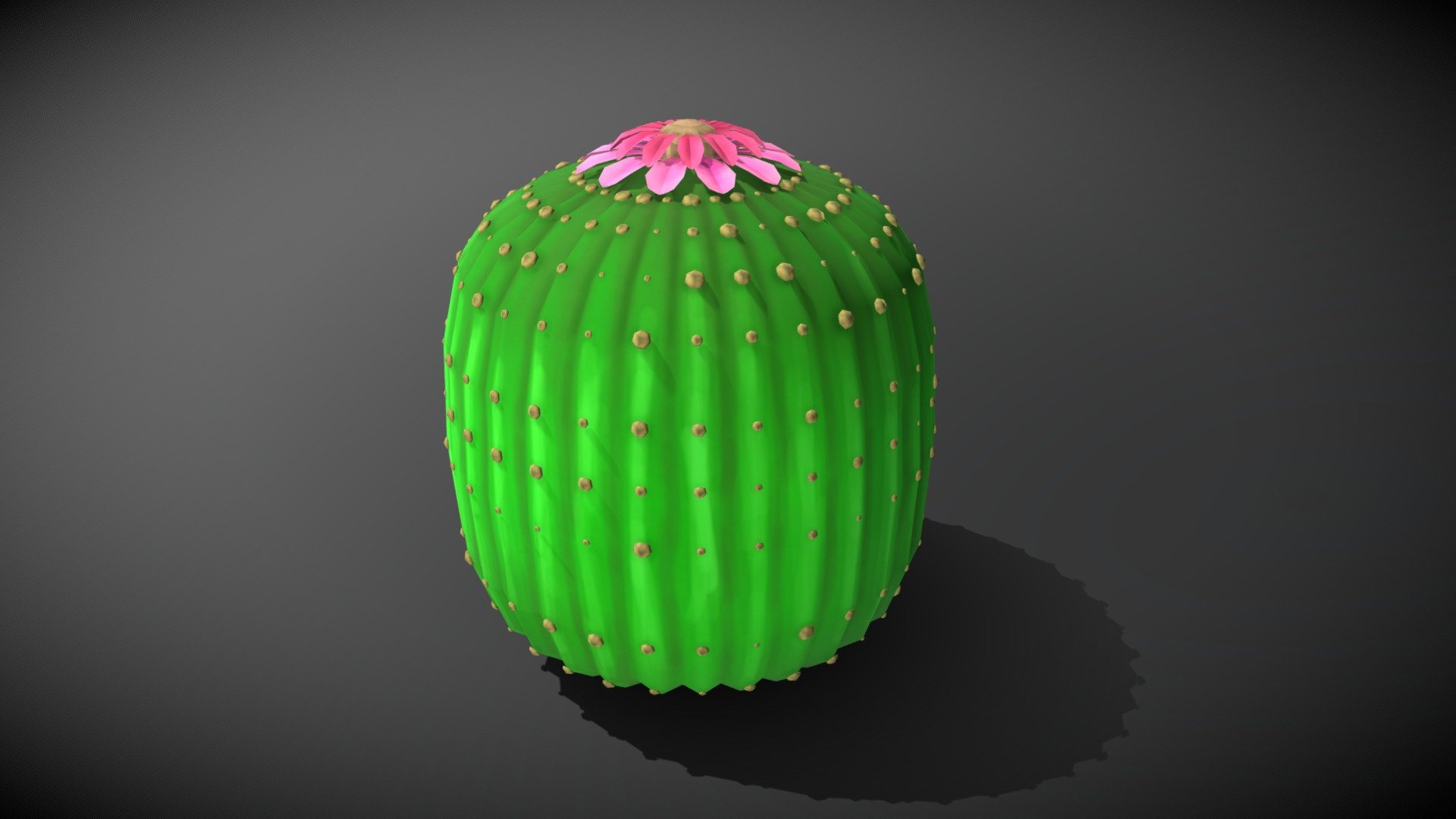 Stylized Cactus; Parodia Magnifica