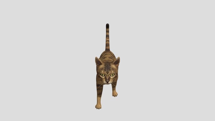 Cat 3D Model