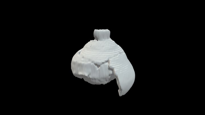 WK3 3D Model