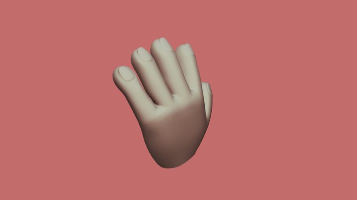 Furry Paw 3D Model