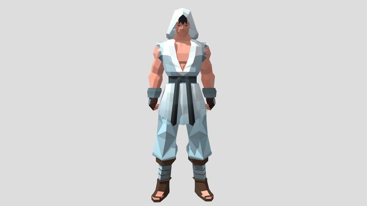 Low-poly Fighter 3D Model