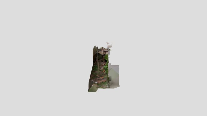 Moss