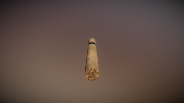 Cigar (unused) 3D Model
