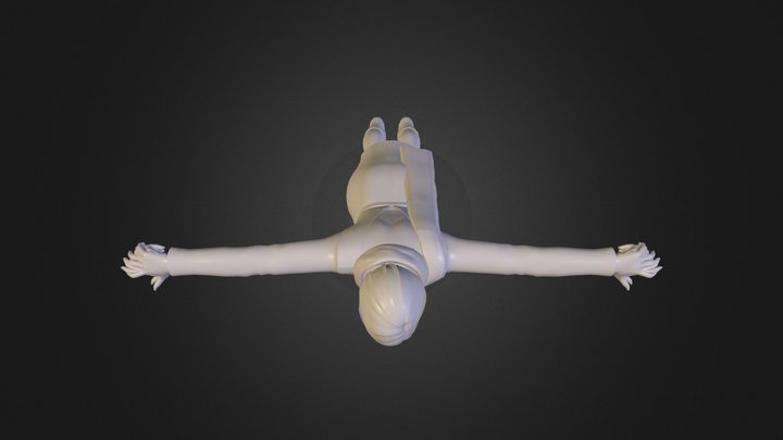 Ada RE6 3D Model