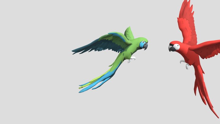 Guacamayos MUBA 3D Model