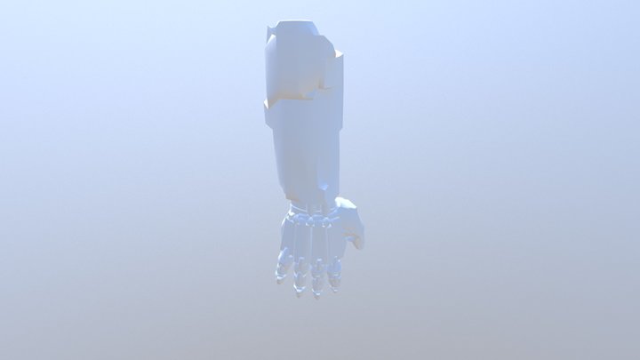 Arm-Model 3D Model
