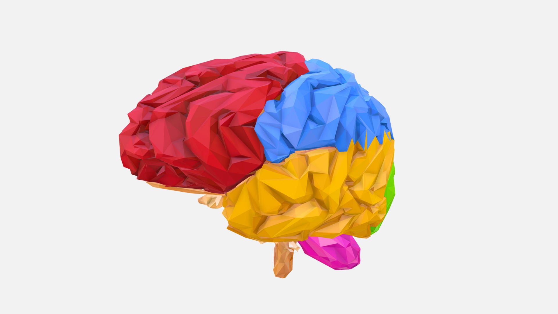 3D model Low Polygon Art Medical Brain Color 02 - This is a 3D model of the Low Polygon Art Medical Brain Color 02. The 3D model is about a pair of colorful umbrellas.