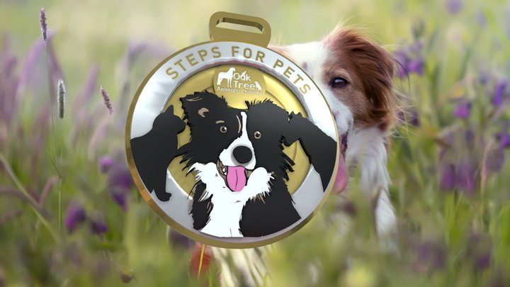 StepsPets 3D Model