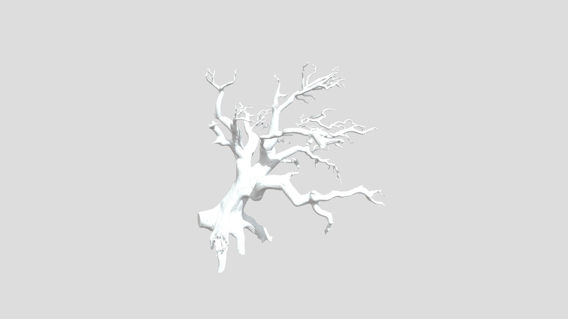 Twisted Tree Skeleton - 3D model by deejayottof [73b5267] - Sketchfab