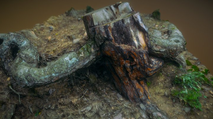 Stump Photoscan 3D Model