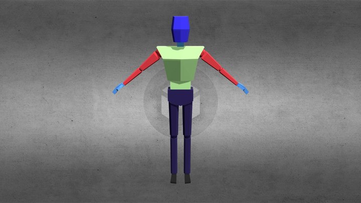 LowPoly Humanoid Rig 3D Model