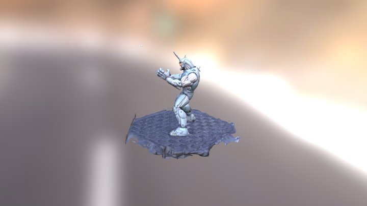 Rhino 3D Model