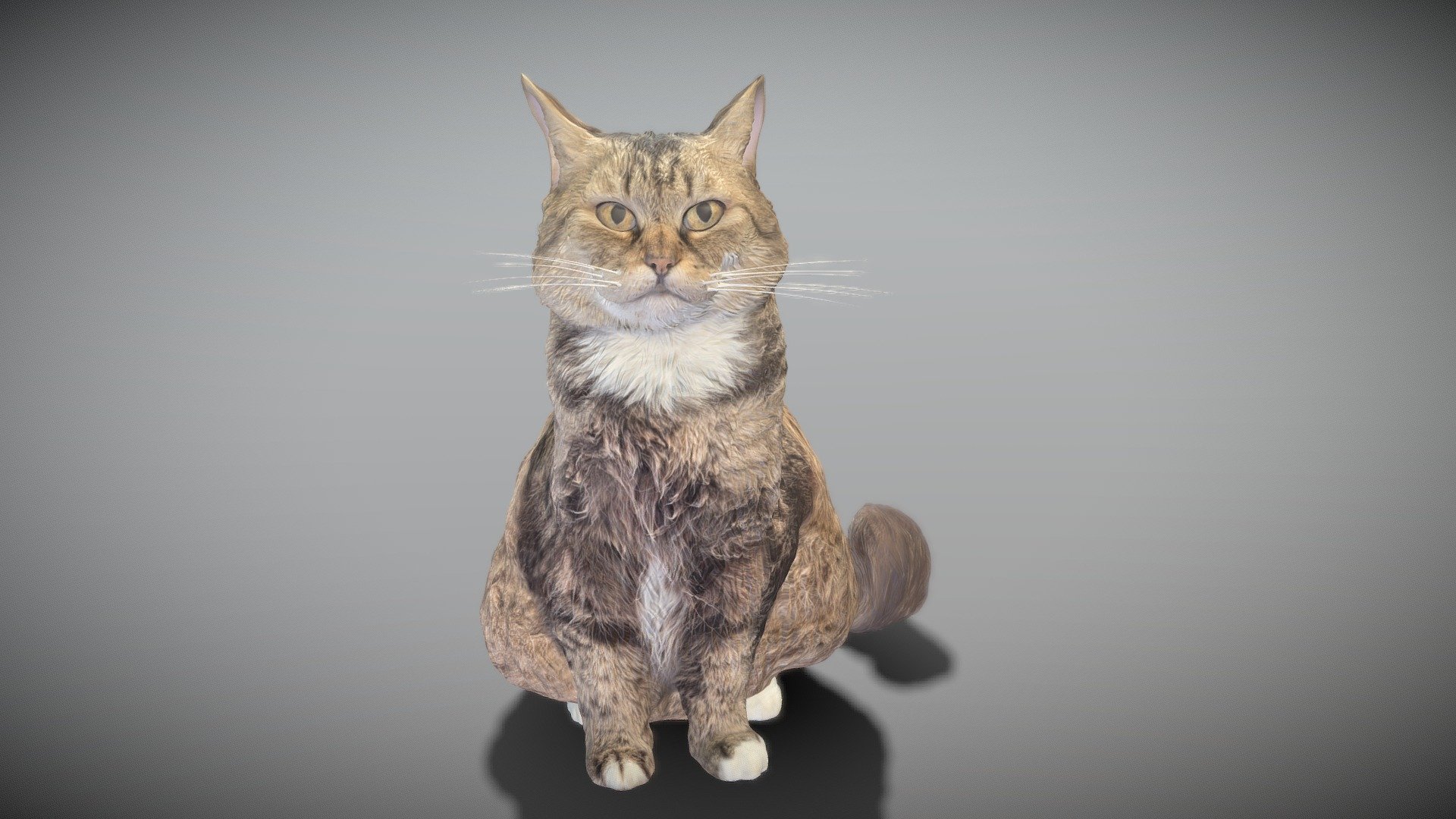 levering bronze frynser Fluffy cat 15 - 3D model by deep3dstudio (@deep3dstudio) [73bf025]