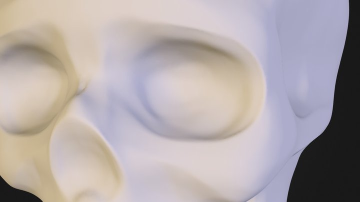 basic medium skull 3D Model