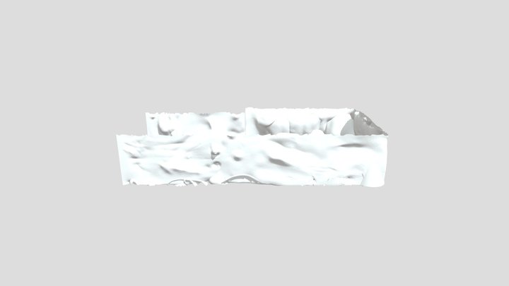BodyScape 3D Model 3D Model