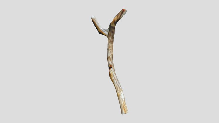 Enchanted Wand of the Ancient Forest 3D Model
