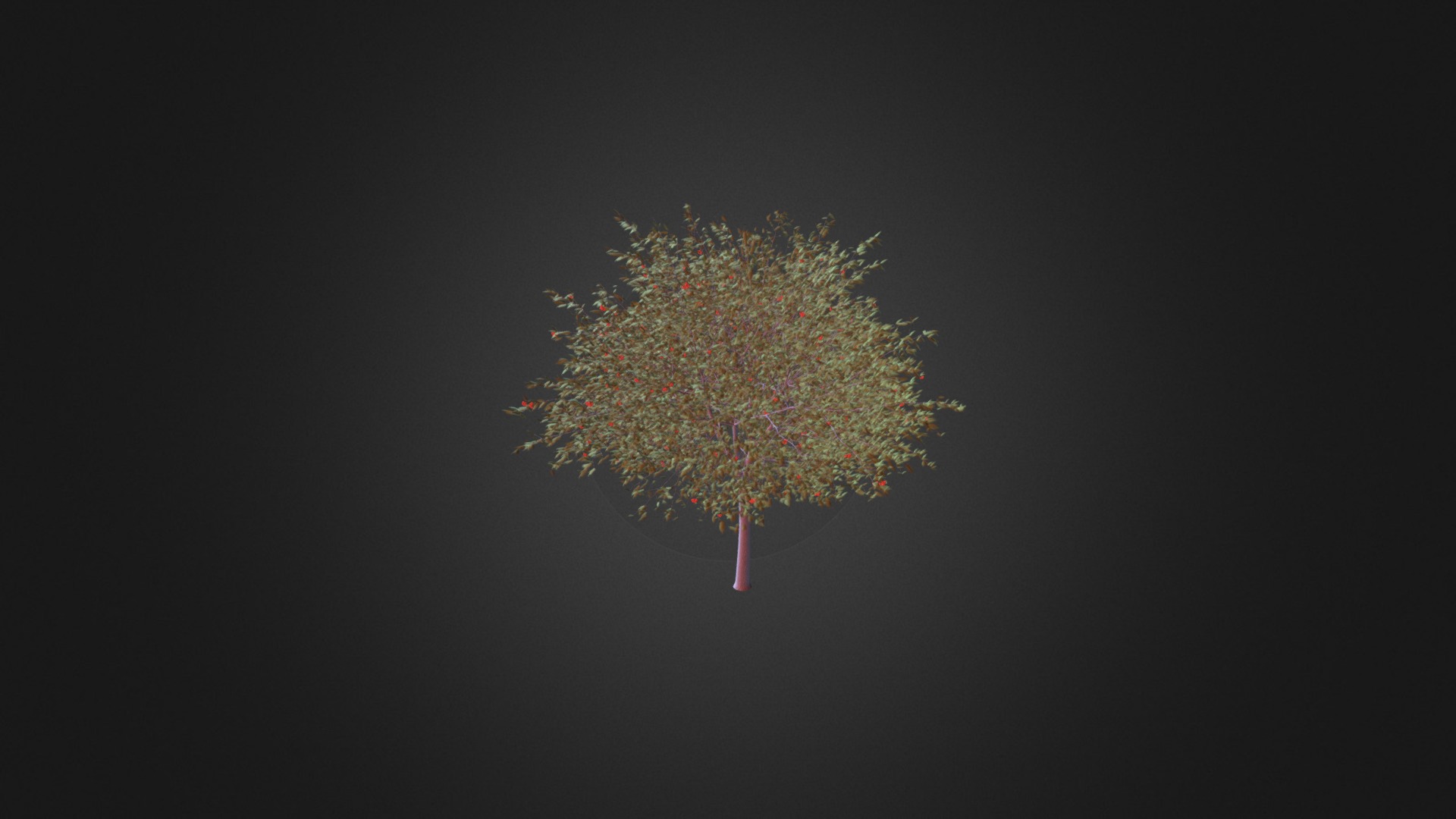3D model European Rowan (Sorbus aucuparia) 8.6m - This is a 3D model of the European Rowan (Sorbus aucuparia) 8.6m. The 3D model is about a tree with pink and yellow leaves.