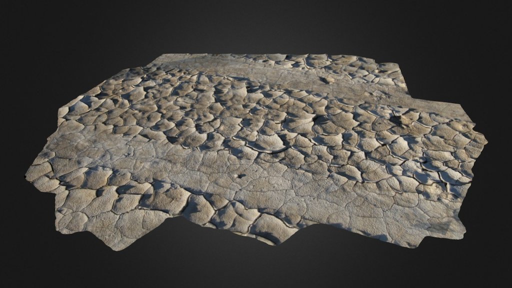 Mudcracks near Castle Rock, Kansas
