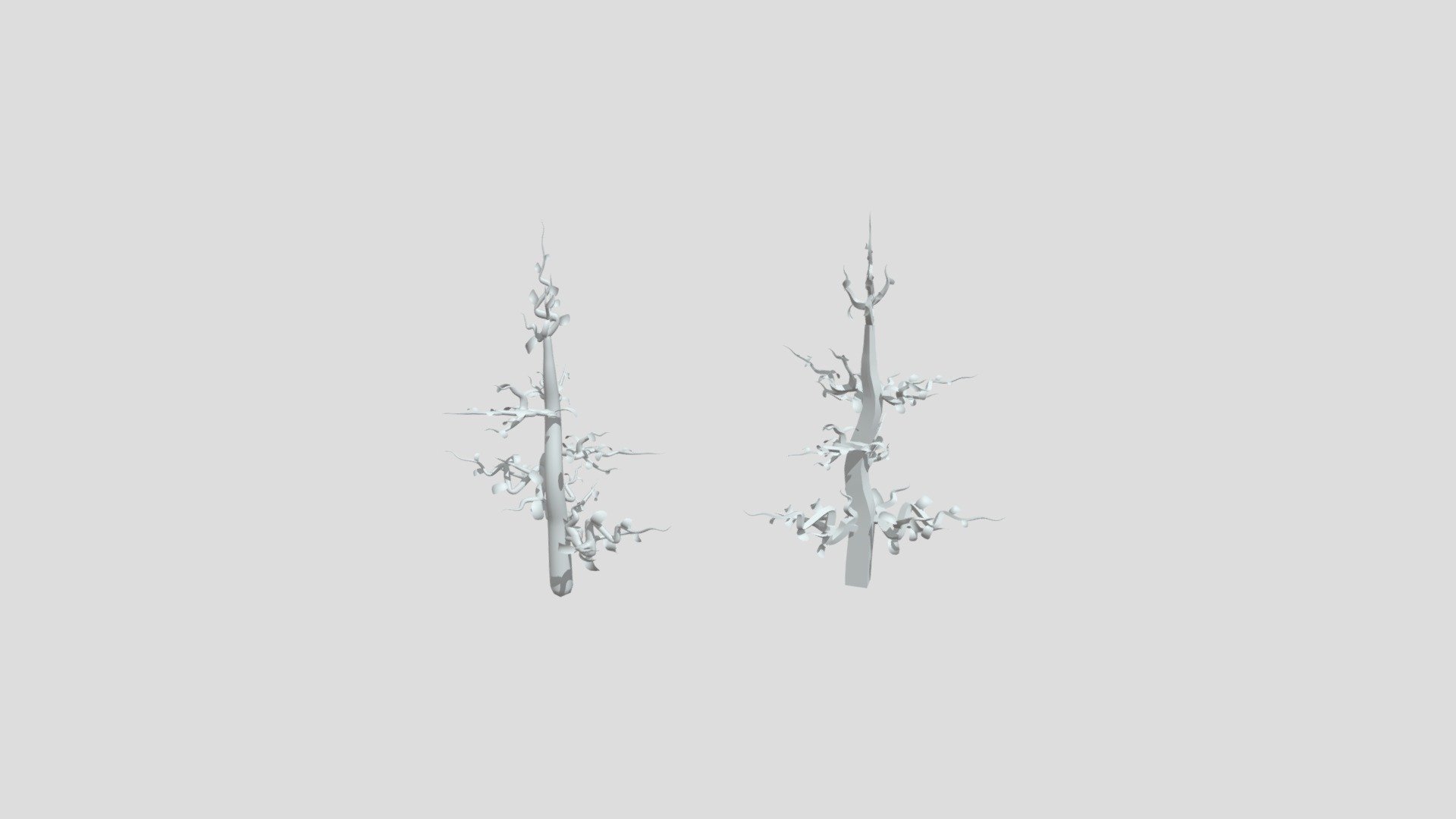 Arbol
