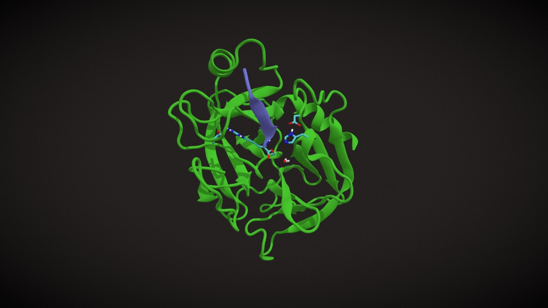 serine protease rxn3