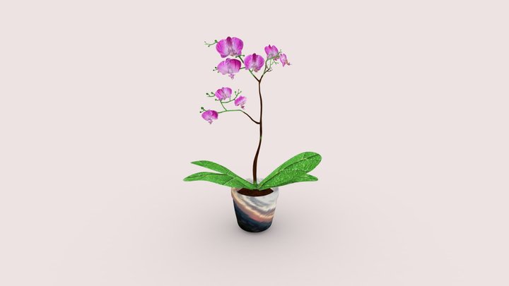 цветок с г#вно сеткой 3D Model