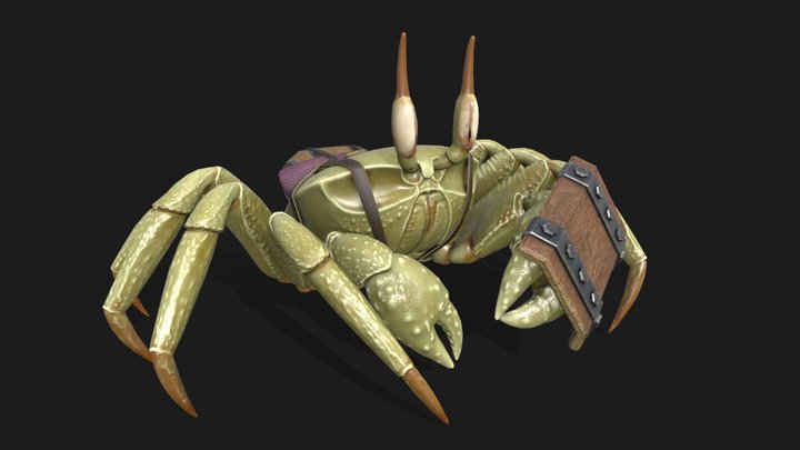 Coastal vanguard 3D Model