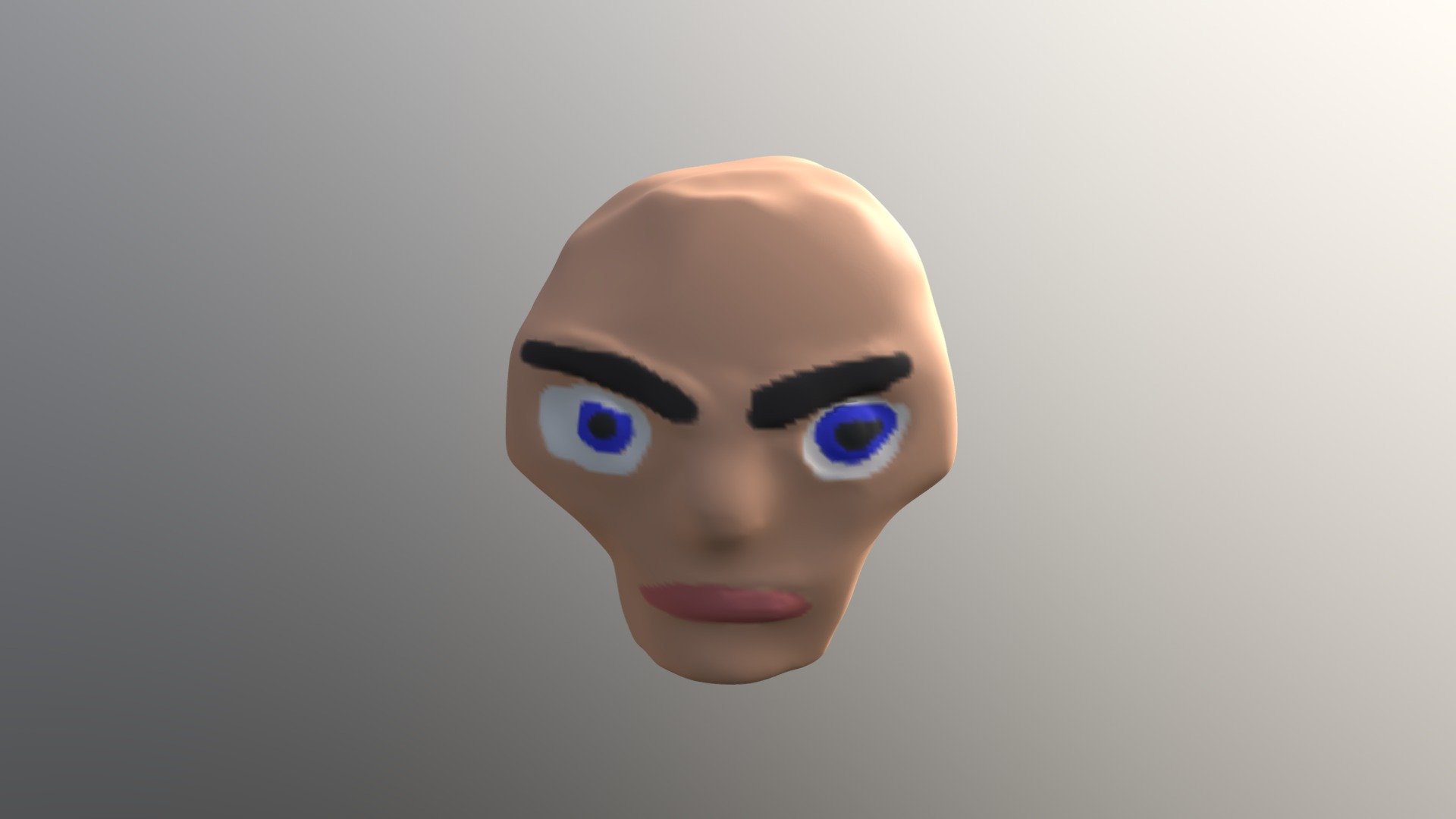 homo ERECTus