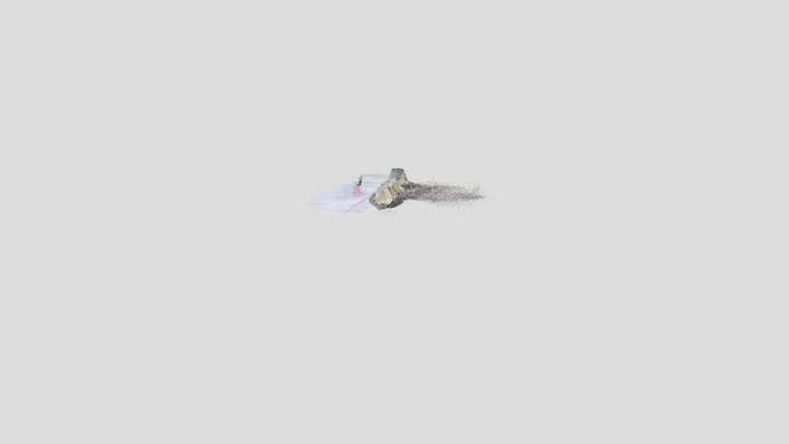 rocks 3D Model