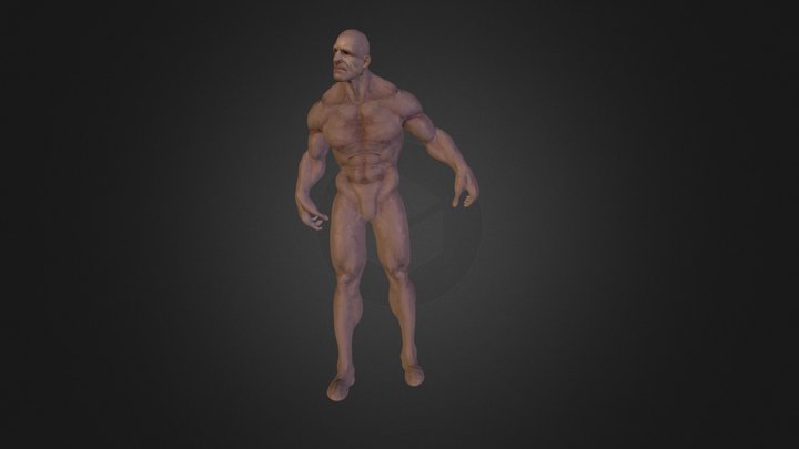 Human Male Character posed version 3D Model