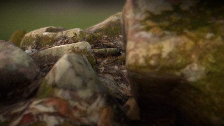 Test_03.c4d 3D Model