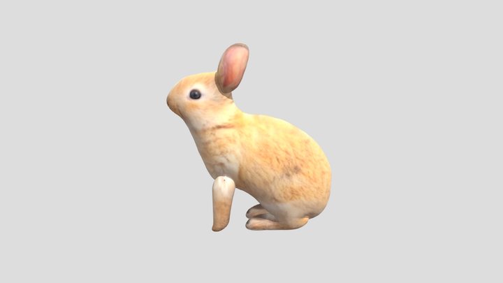 兔子2－410993038 視設二 劉能禕 3D Model