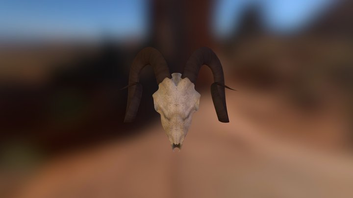 Goat Skull 3D Model