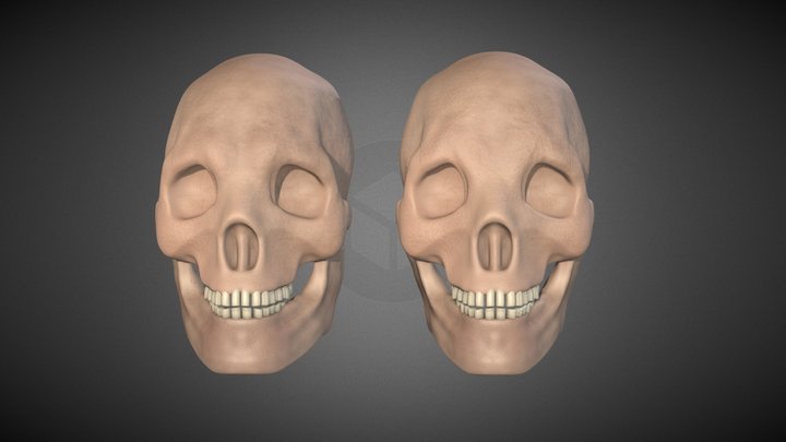 SKULLS – Free 3D Model STL
