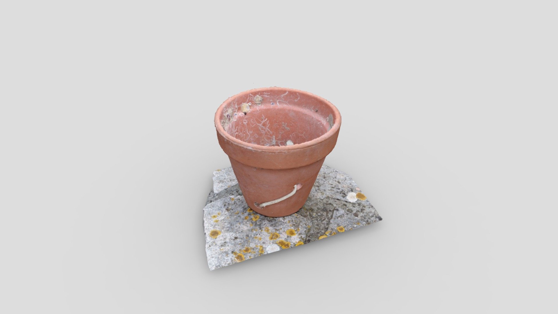 Vaso - Vase