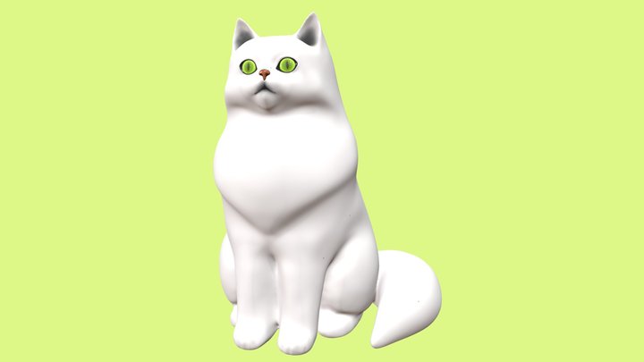 Persian Cat 3D Model