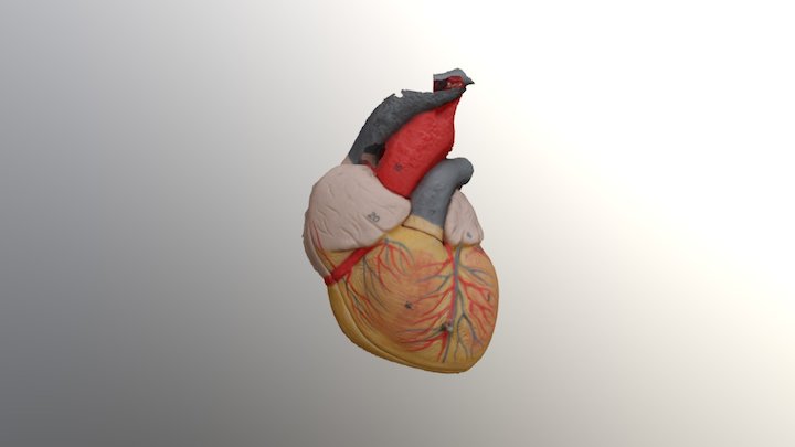 Broken Heart 3D Model