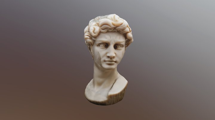 David. Miguel Angel. 3D Model