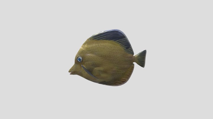 Feesh 3D Model