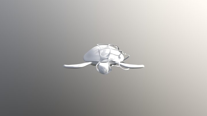Turtle w/ plastic 3D Model