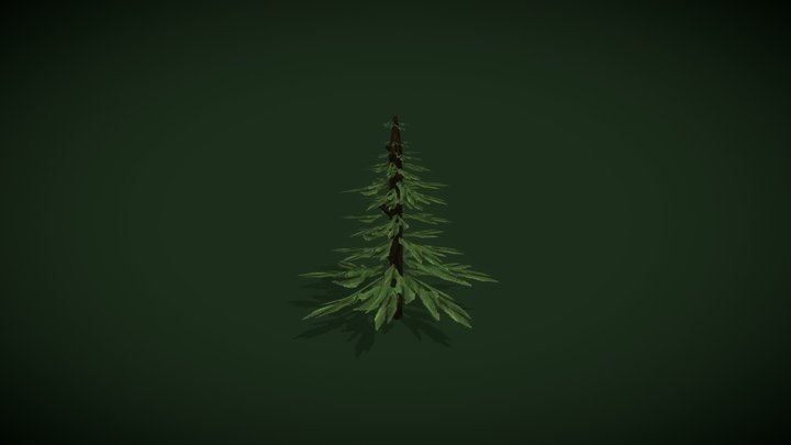 Fir Tree (coniferous) (Low Poly) 3D Model